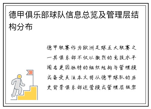 德甲俱乐部球队信息总览及管理层结构分布