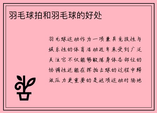 羽毛球拍和羽毛球的好处
